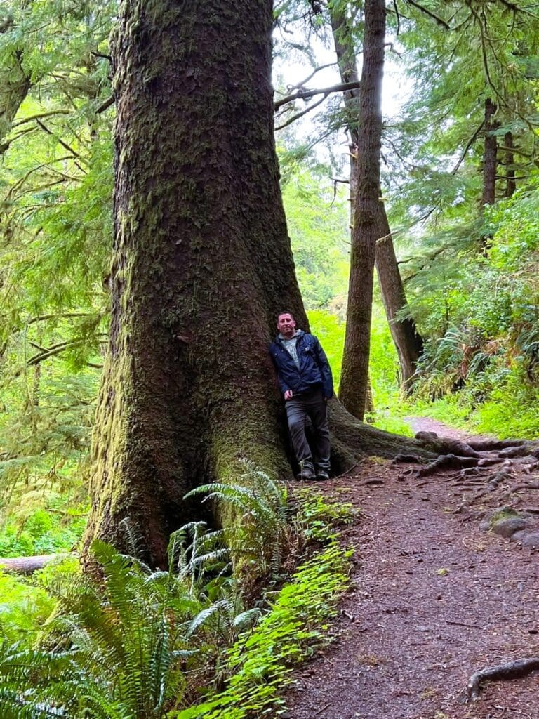 A man stands beside a large tree in a lush green forest, surrounded by nature.
