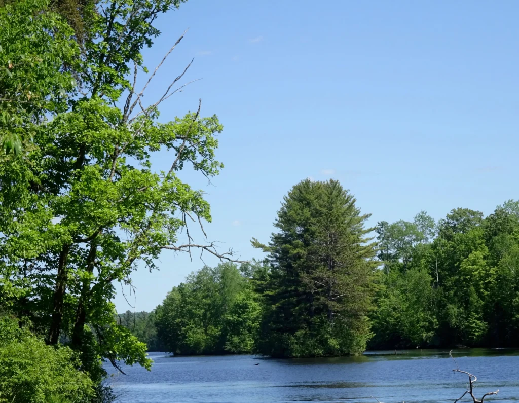 Murphy Flowage