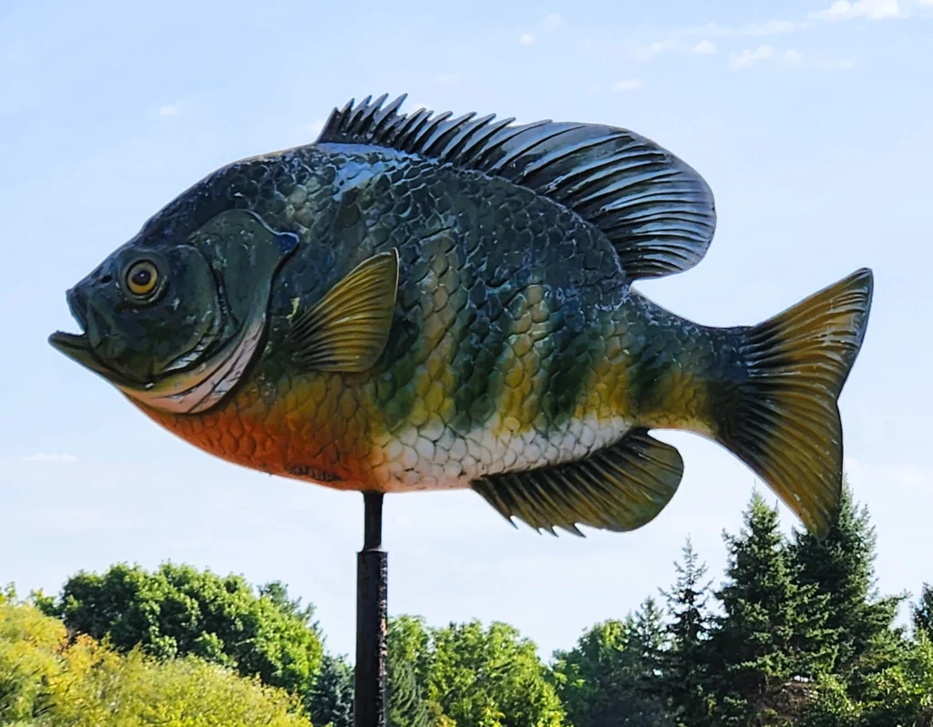 Large Bluegill Sign
Best Things to do in Birchwood, Wisconsin